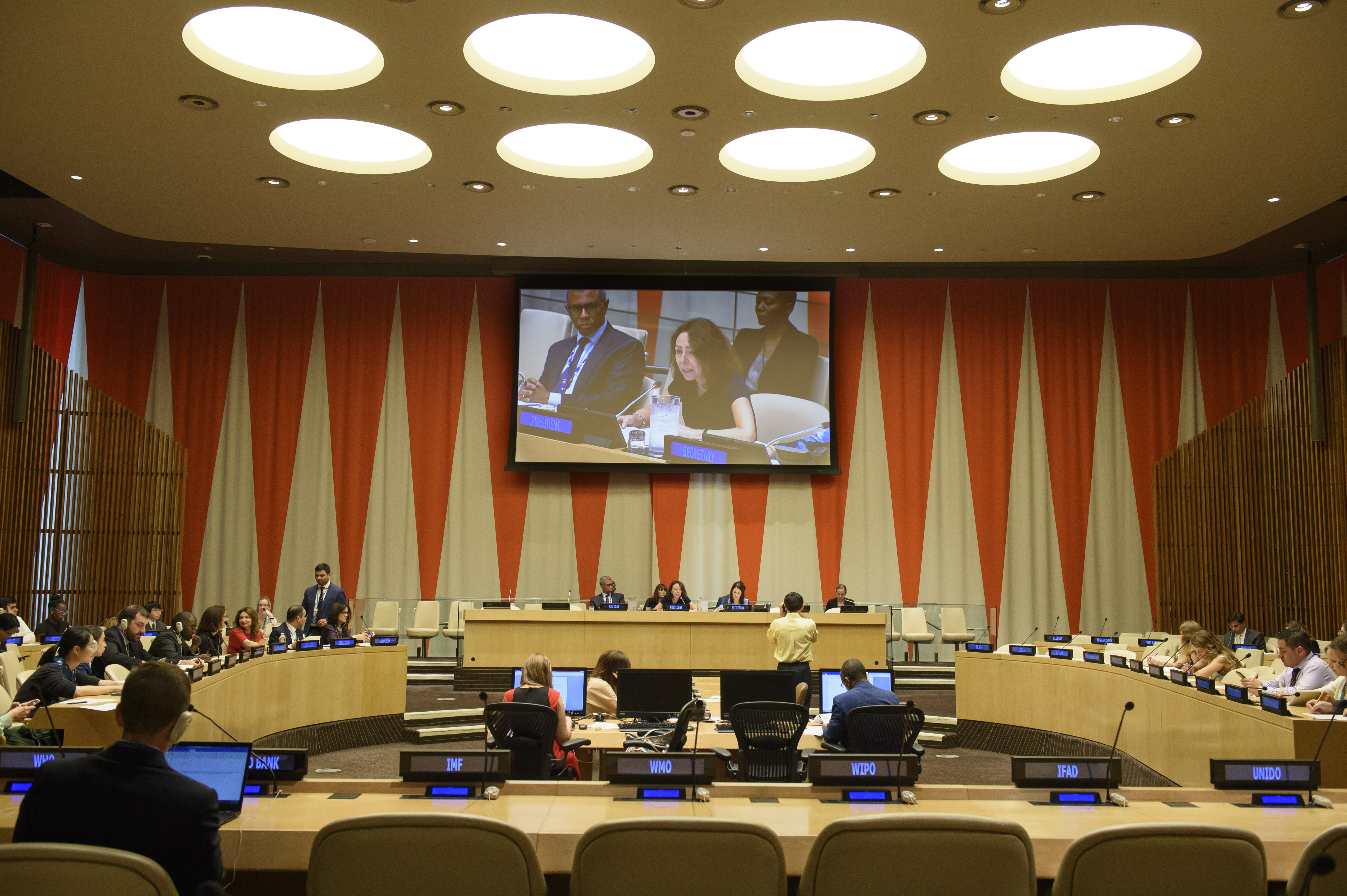 Economic and Social Council 2019 session, 1st plenary meeting Election of New President and Vice President Marie Chatardov, Permanent Representative of the Czech Republic to the UN and outgoing President of the Economic and Social Council (ECOSOC) makers closing remarks.