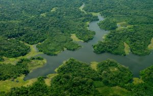 Floresta Amazônica (Foto: Ubirajara Machado / Governo Federal)