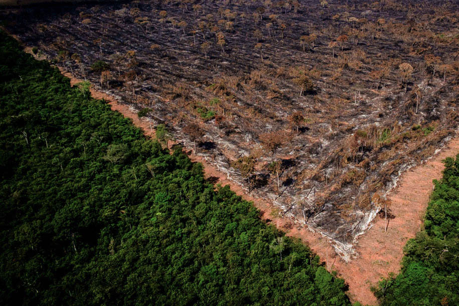Brasília (13/06/2018) – O Ibama e a Secretaria de Estado de Meio Ambiente (Sema) de Mato Grosso, com apoio do Centro Integrado de Operações Aéreas (Ciopaer-MT) e da Força Nacional, iniciaram nesta terça-feira (12/06) operação conjunta para coibir o desmatamento ilegal da Amazônia. Na primeira ação, agentes ambientais flagraram o corte raso de 160 hectares em área de Reserva Legal em Tapurah (MT) por correntão, técnica que usa dois tratores e uma corrente com elos grossos para derrubar a vegetação nativa.Na base utilizada pelos infratores foram apreendidos um caminhão, uma pá carregadeira, uma moto, uma camionete, motosserras e documentos que evidenciam a saída da madeira, além de fichas de funcionários e comprovantes de transações bancárias. A Sema estima que a ação evitou o desmatamento de outros 800 hectares.Foto: Mayke Toscano/Gcom-MT
