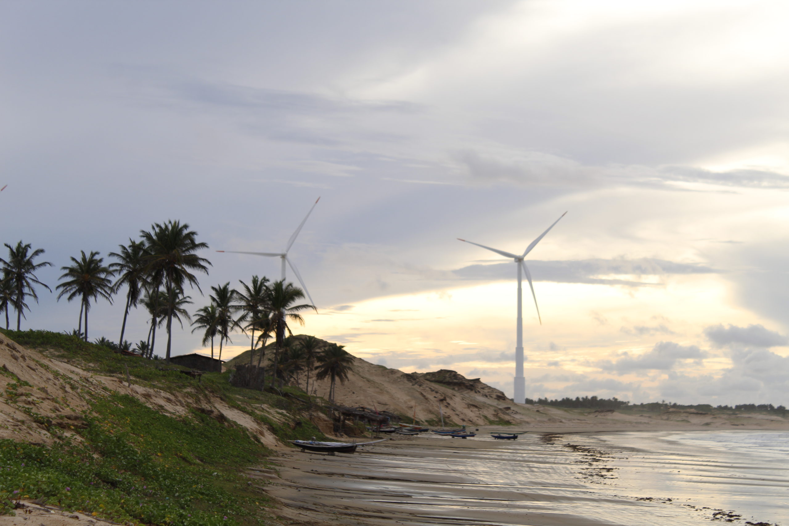 Parque eólico instalado no litoral cearense: comunidades locais lutam por transição energética justa (Foto: Jeferson Batista/Conectas)