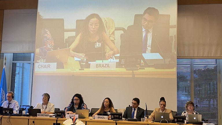 Membros da comitiva do Estado brasileiro em sessão do Comitê de Direitos Humanos da ONU. Foto: Divulgação